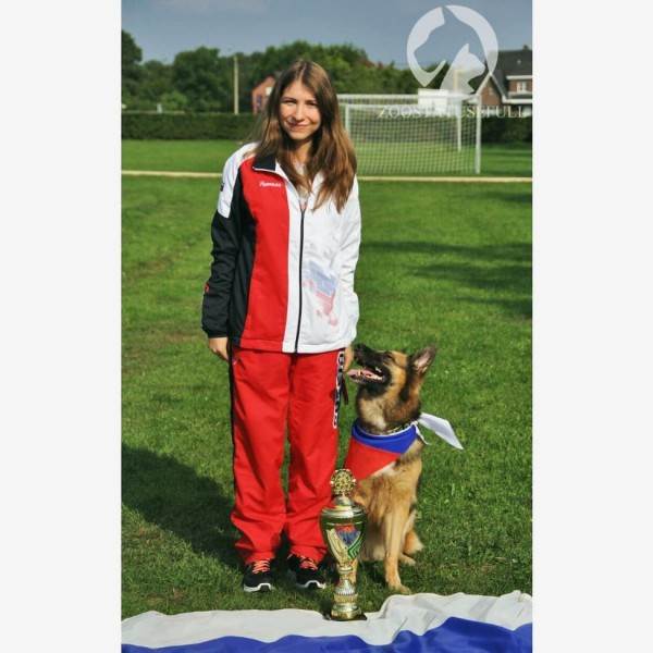 интересные истории о собаках