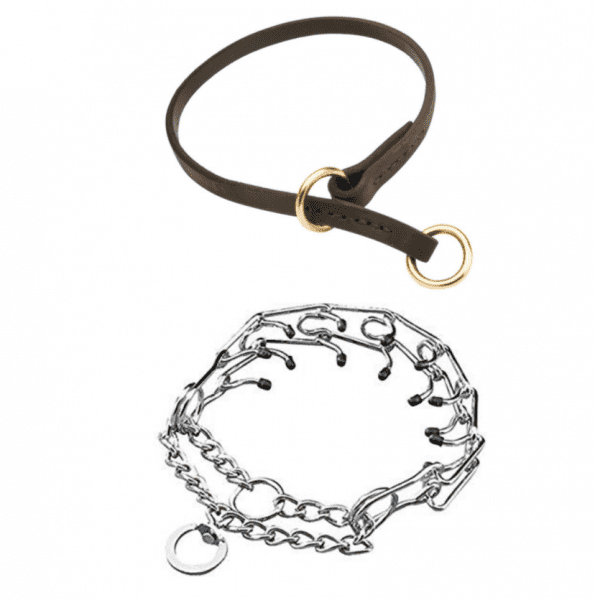 Выбор шлейки Фото выбор шлейки для собак