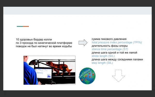 Выбор шлейки Фото выбор шлейки для собак