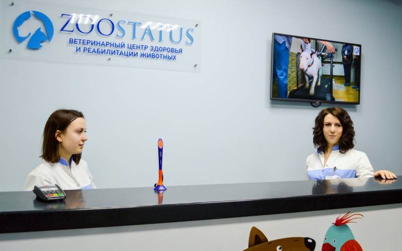 аптечка для животных