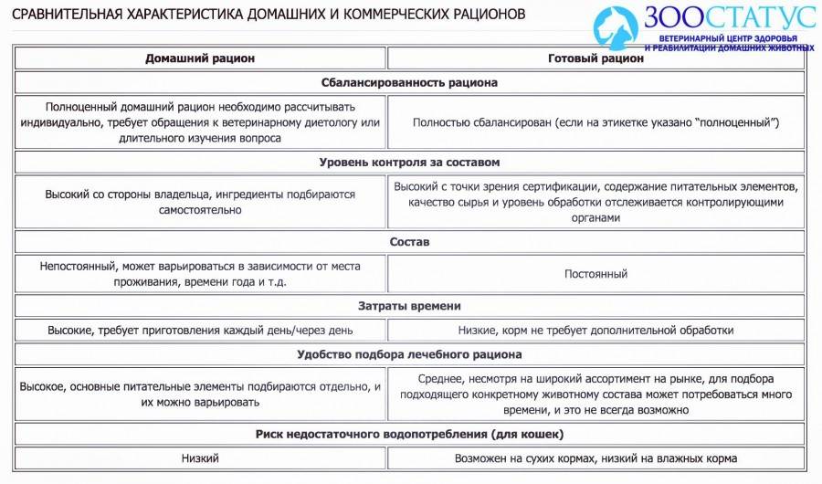 чем кормить кошку