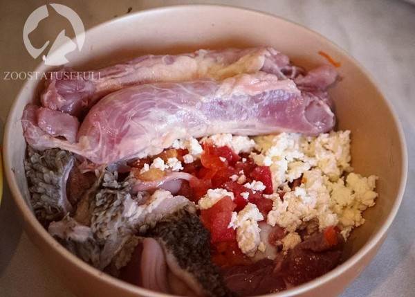 чем кормить кошку