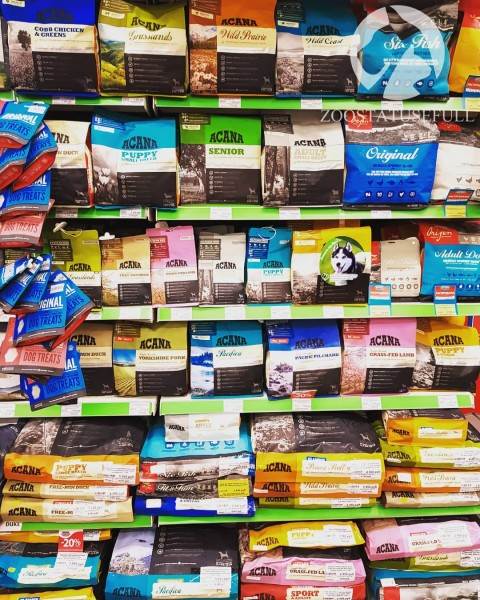 чем кормить кошку