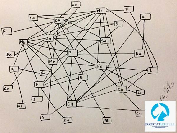 взаимодействие микроэлементов