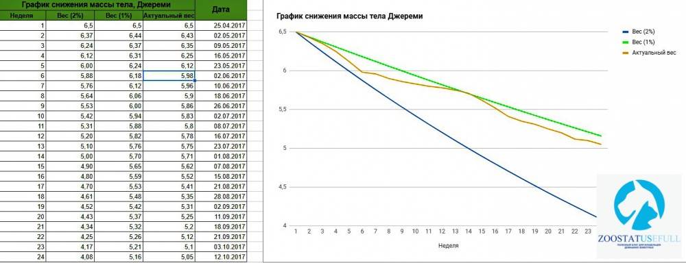 график коррекции массы тела кота