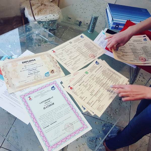 как правильно купить котенка в питомнике