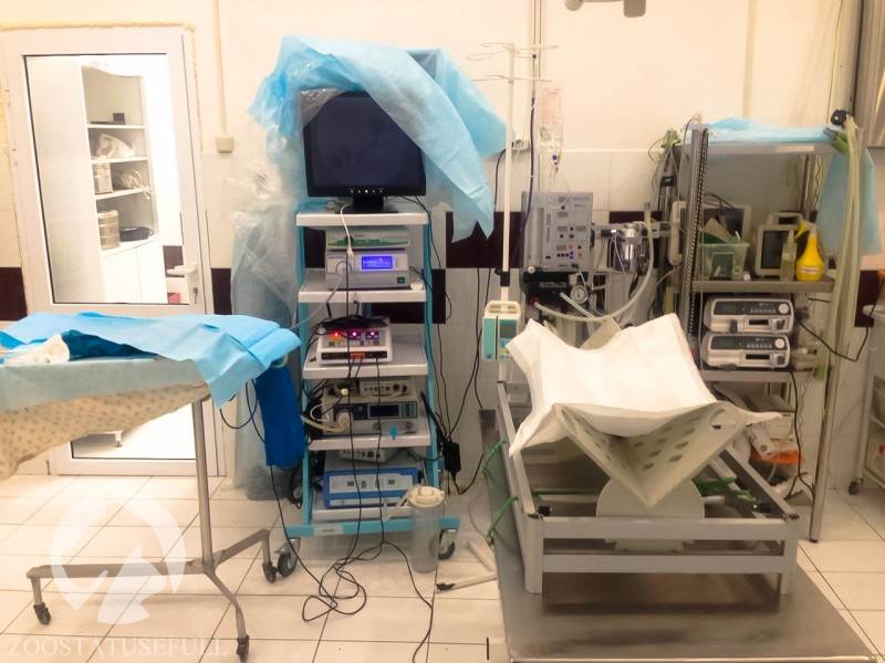 Лапароскопическая стерилизация Фото лапароскоп