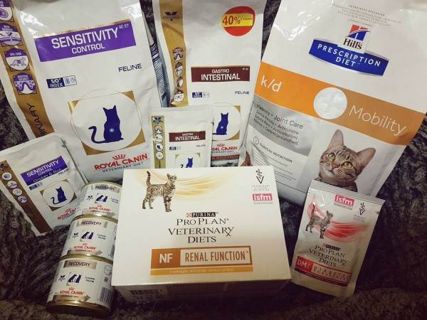 Лечебный корм для животных Фото лечебные ветеринарные диеты