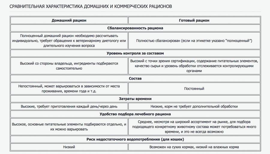 натуралка или сухой корм