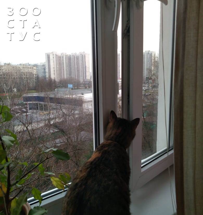 Интервью с врачом Фото