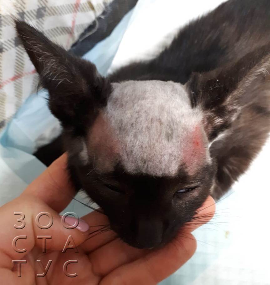 Интервью с врачом Фото