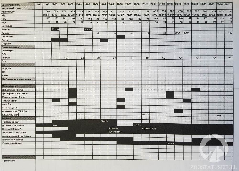 ветеринарный стационар