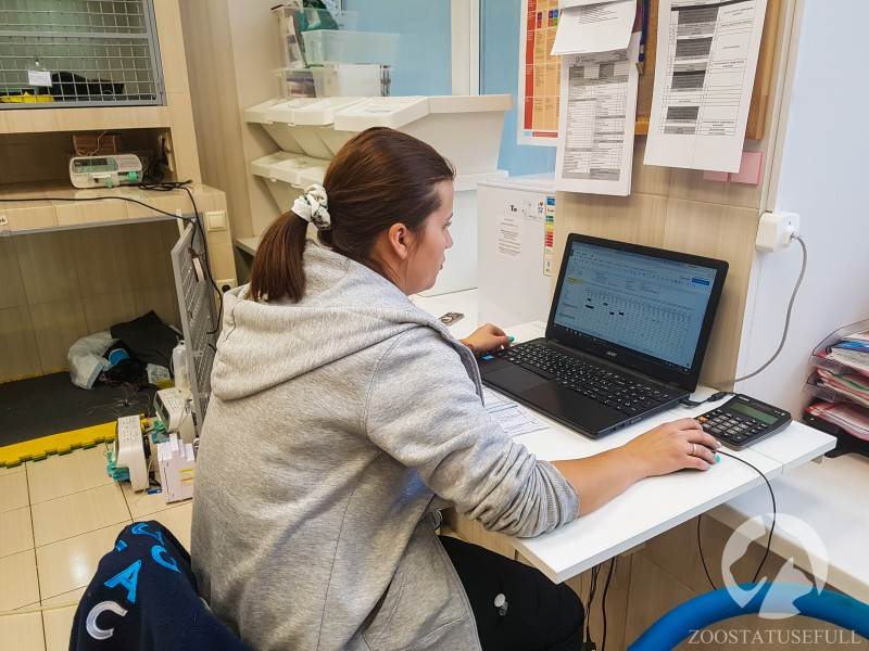 ветеринарный стационар