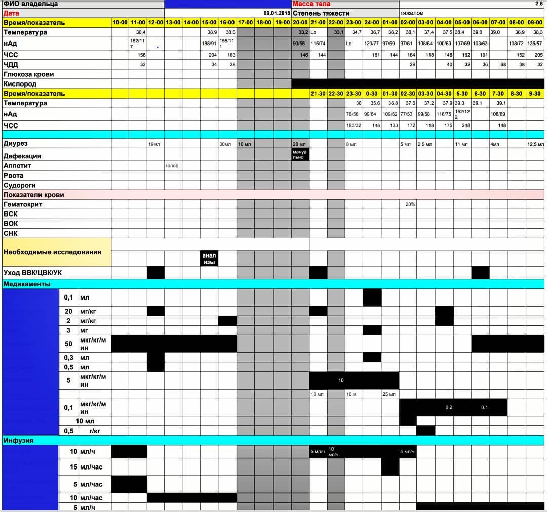 боль у кошек и собак