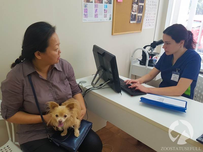 прием ветеринара