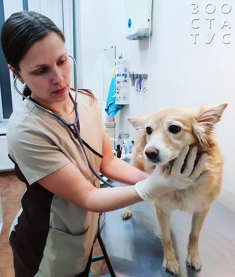 повреждения когтя