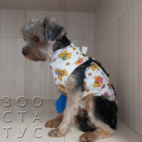 стерилизация собак