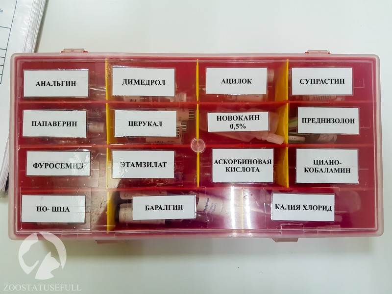аптечка для животных