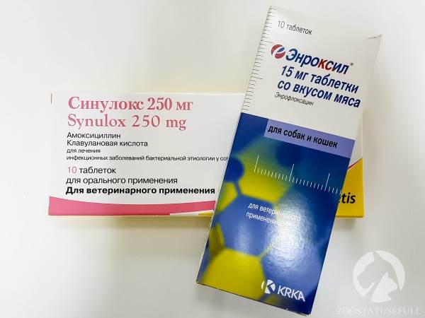 аптечка для животных