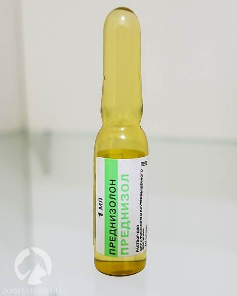 аптечка для животных