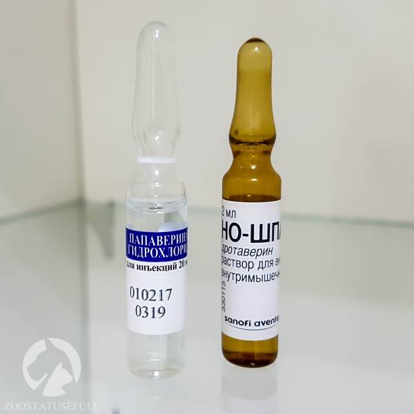 аптечка для животных