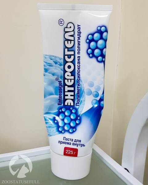 аптечка для животных