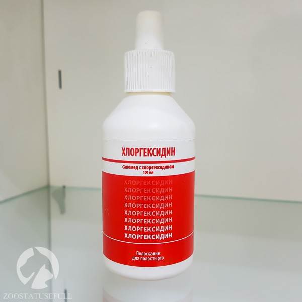 аптечка для животных