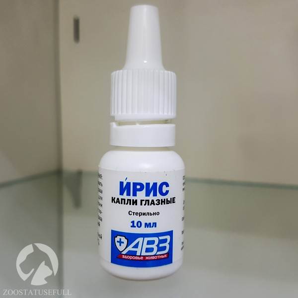 аптечка для животных