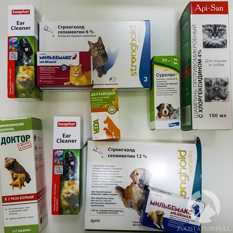аптечка для животных