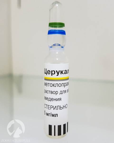 аптечка для животных