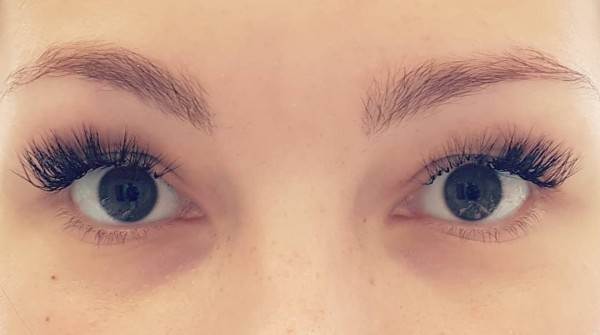 как видят мир кошки, собаки и лошади