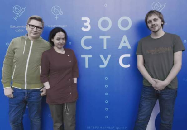 как видят мир кошки, собаки и лошади