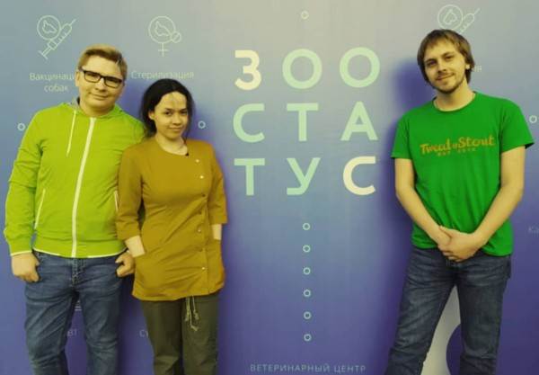 как видят мир кошки, собаки и лошади