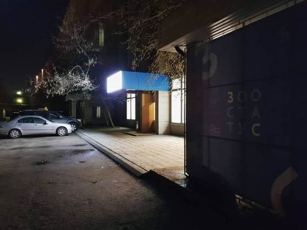 как видят мир кошки, собаки и лошади